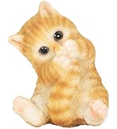 Amazon.co.jp: [ファンシー] 猫 三毛猫 茶トラ サバトラ ネコ好き 誕生